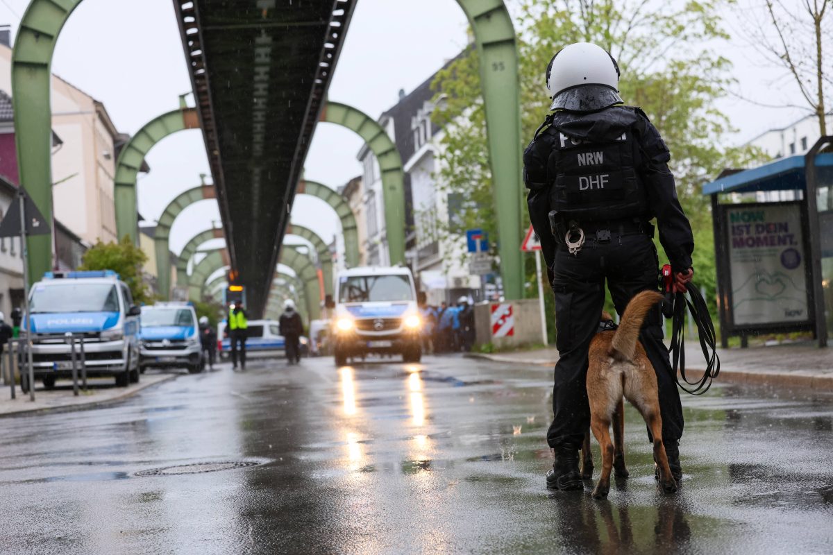 NRW: Zoo Diebstahl