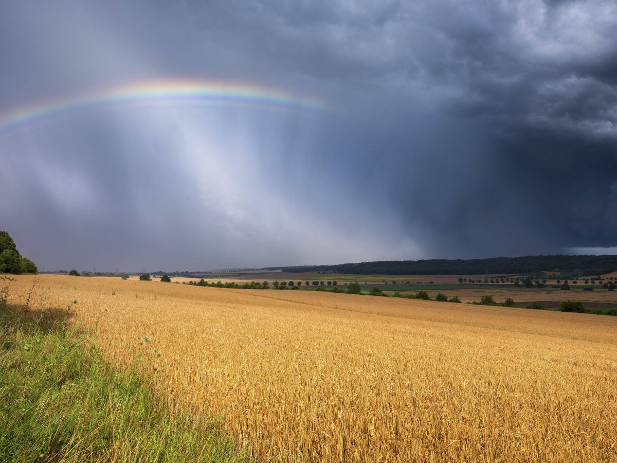 Wetter in NRW: Experte mit klarer Ansage.