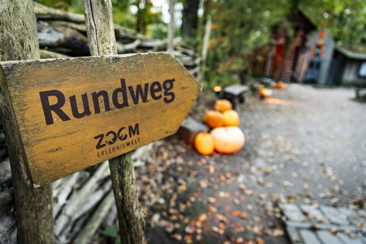 Ungewohnte Szenen in der Zoom Erlebniswelt Gelsenkirchen!