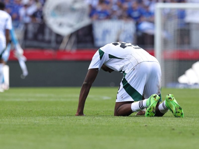 Schalke Cisse
