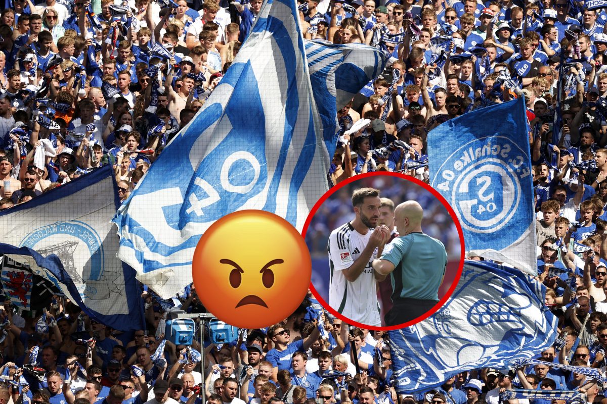 Die Fans des S04 sind völlig schockiert. Eine Entscheidung des Deutschen Fußballbundes lässt sie die Fassung verlieren.