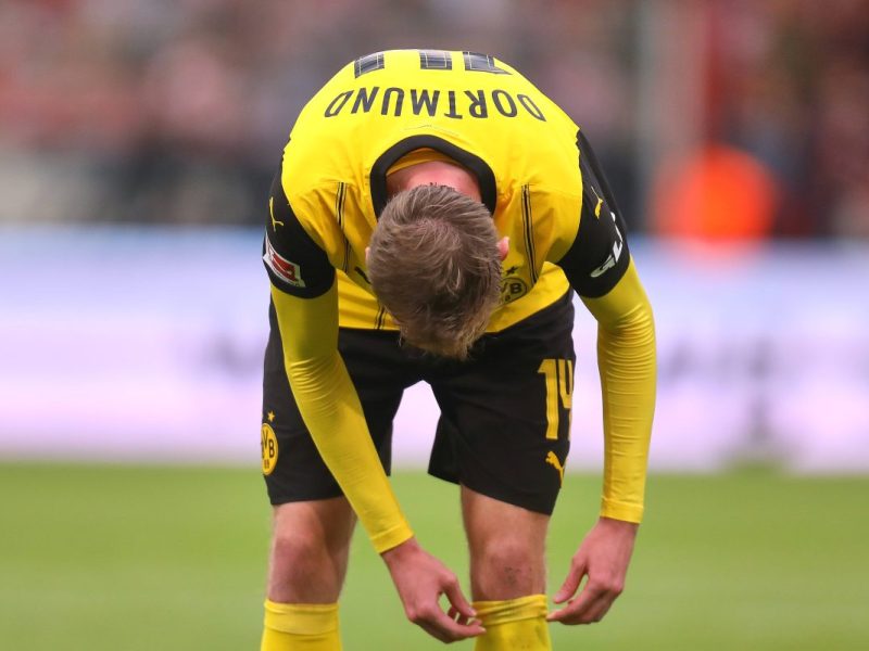 BVB Beier