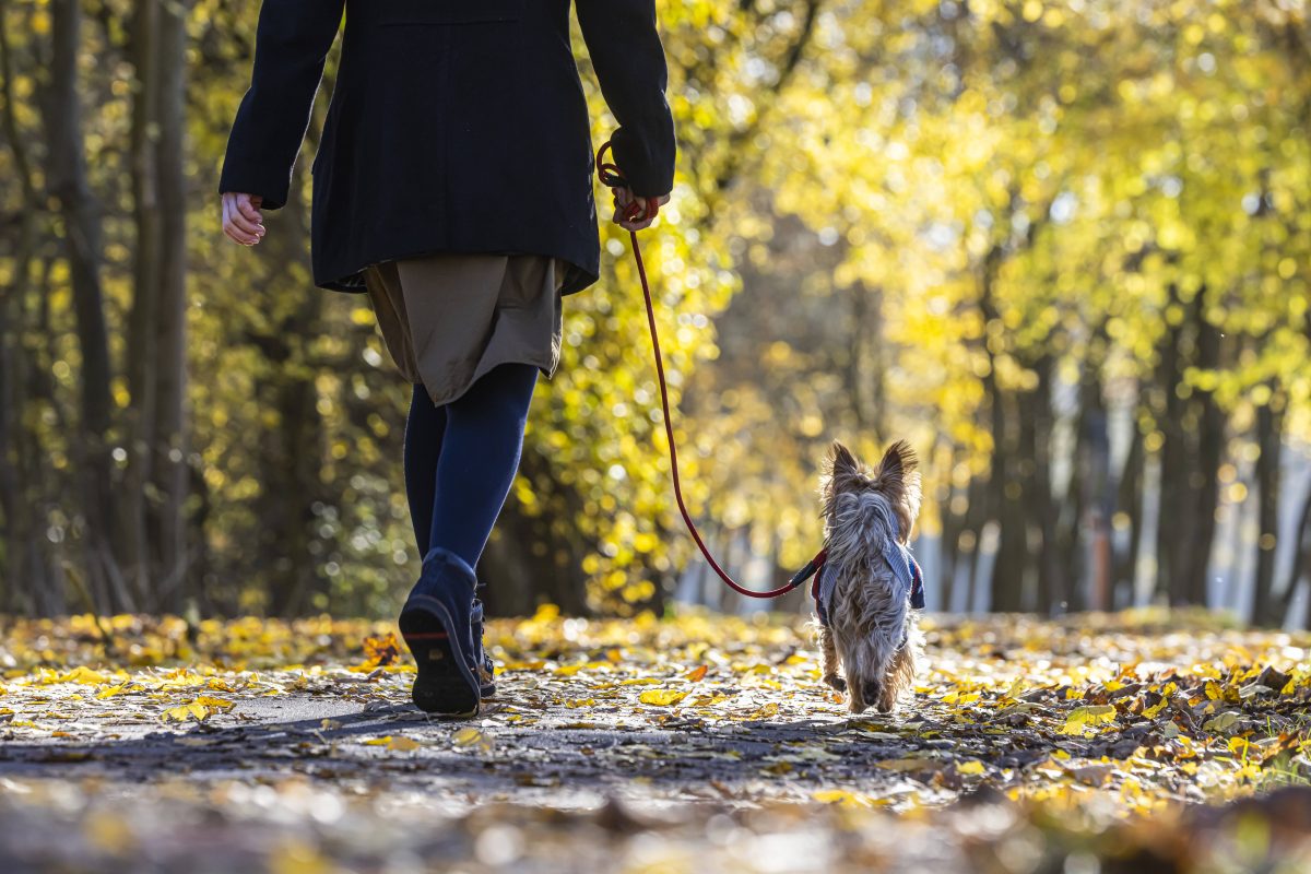 Wetter in NRW Herbst