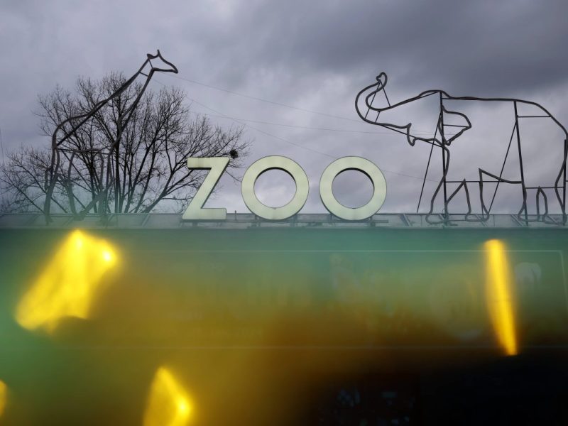 Zoo NRW