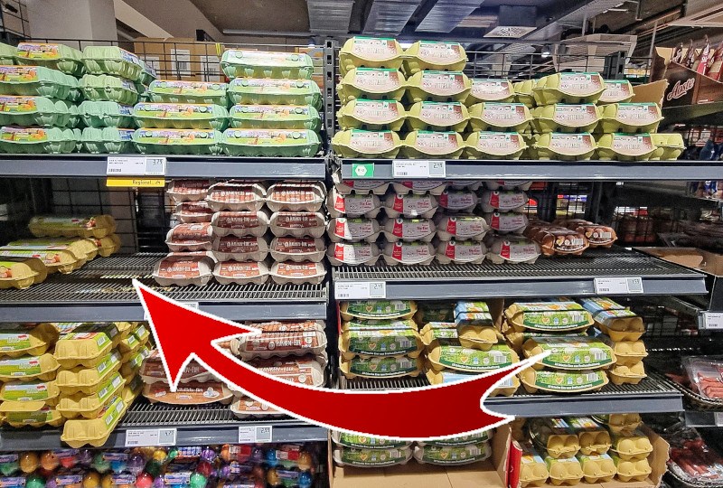 rewe eier