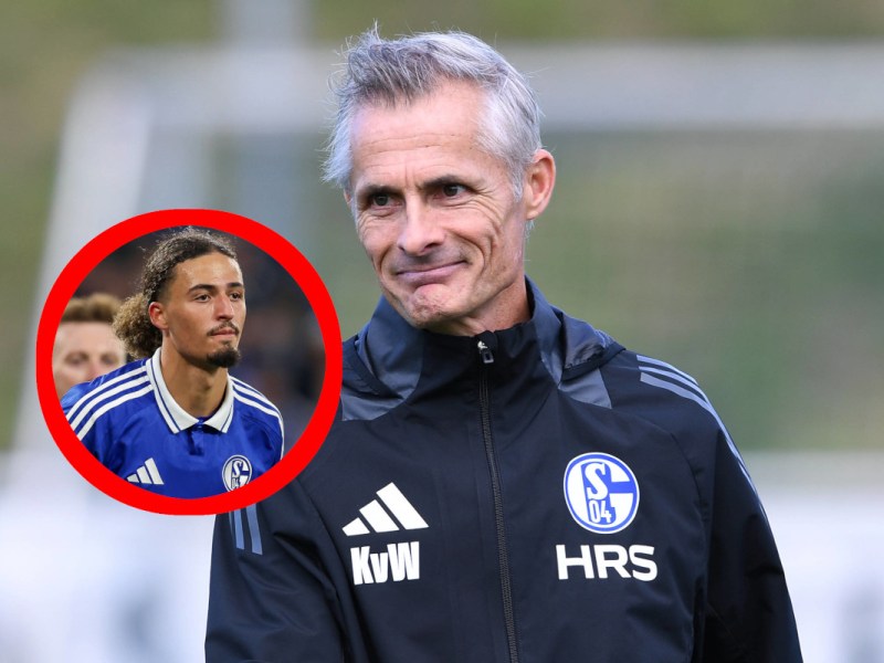 Schalke Bulut