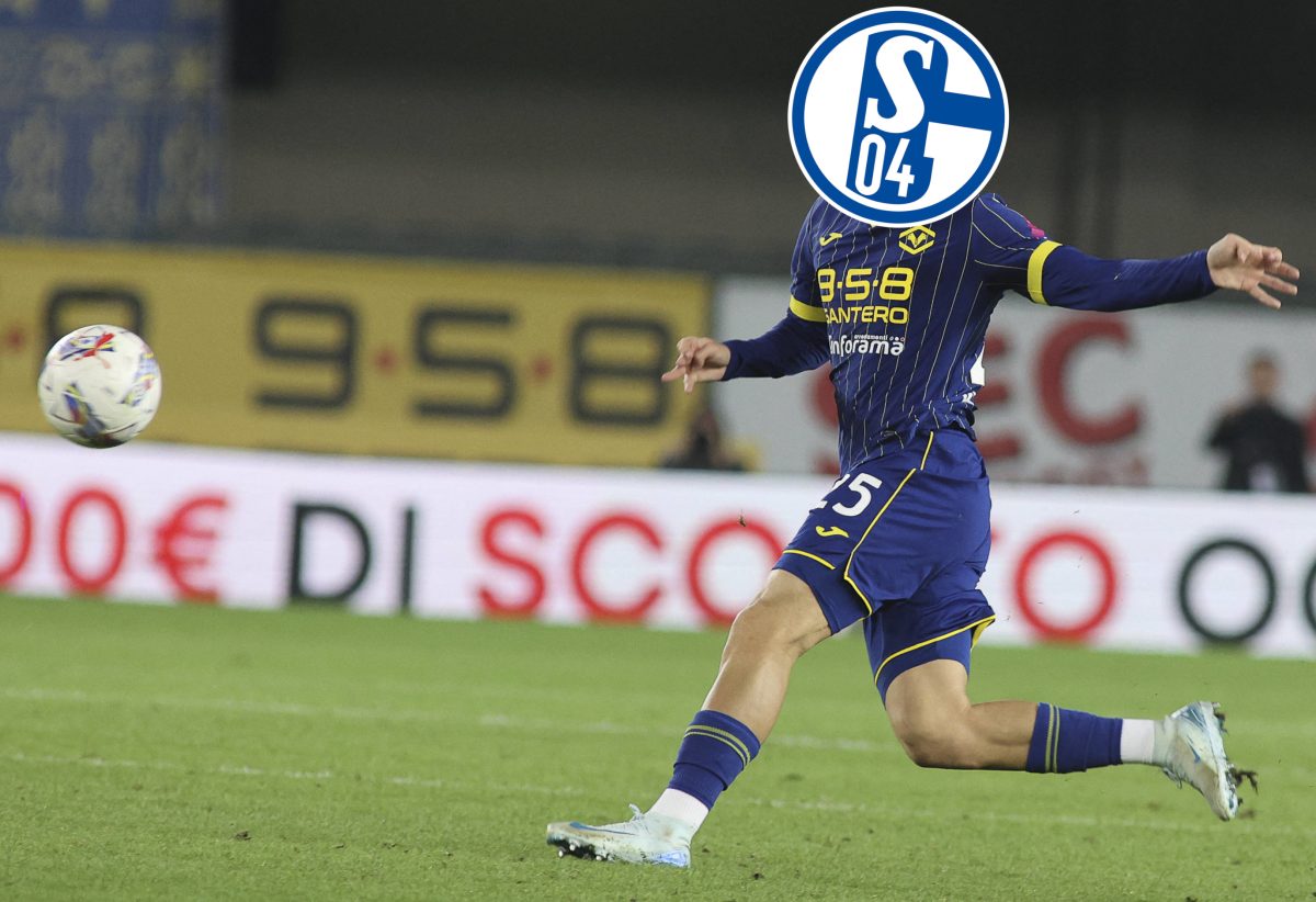 FC Schalke 04: Suat Serdar