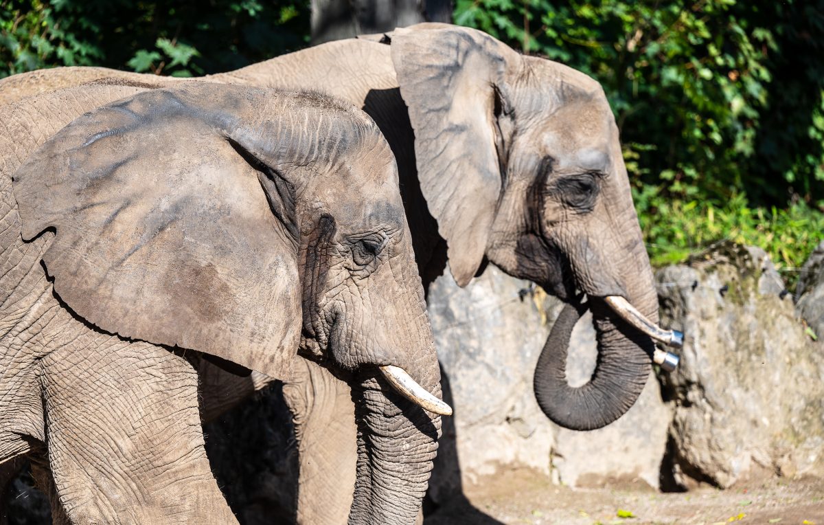 Zoo Duisburg