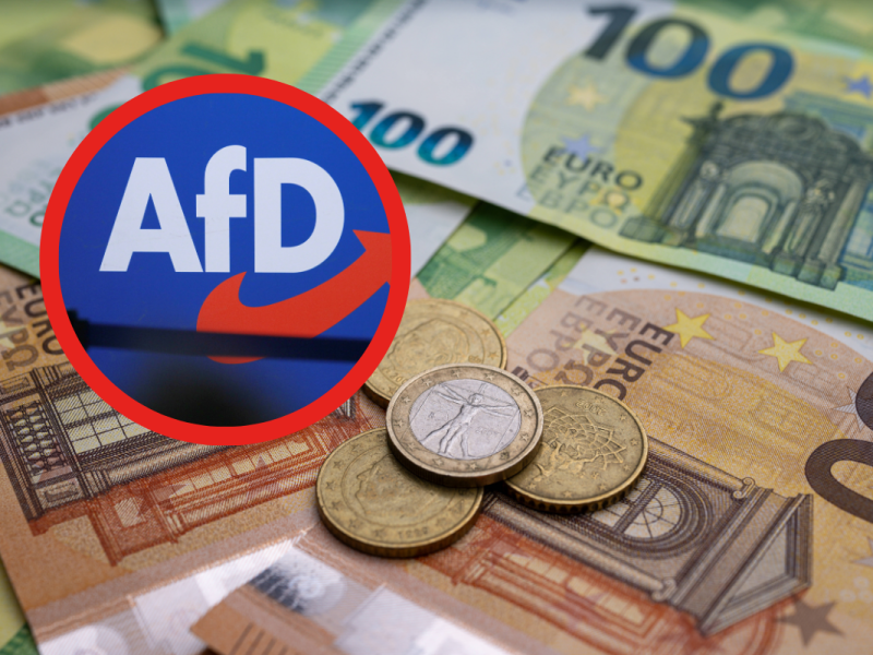 Die AfD will laut Programmentwurf den Euro abschaffen.