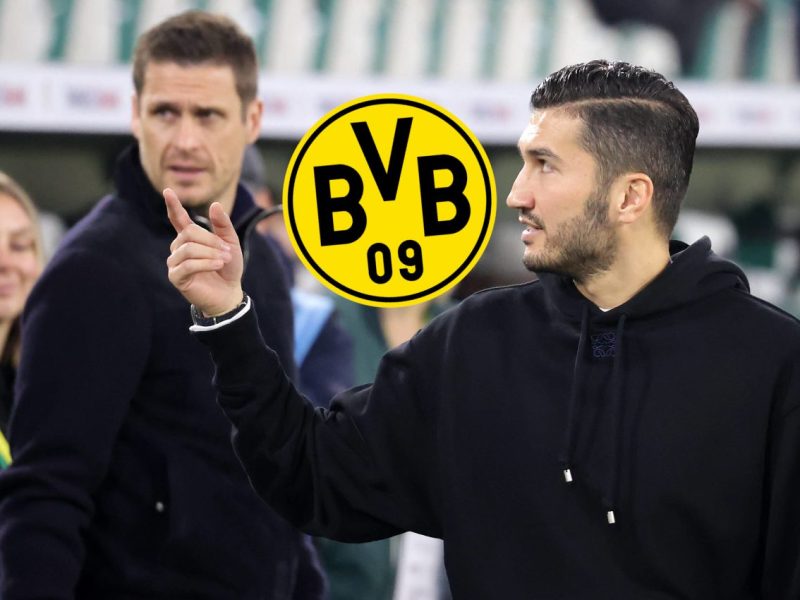 Borussia Dortmund muss schwer schlucken – aus diesen Plänen wird wohl nichts