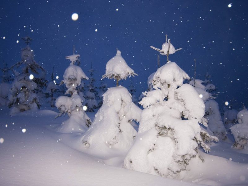 Wetter in NRW: Nie mehr weiße Weihnachten? Experte macht klare Ansage