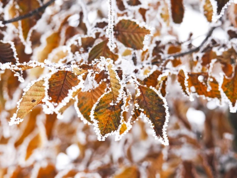 Wetter in NRW