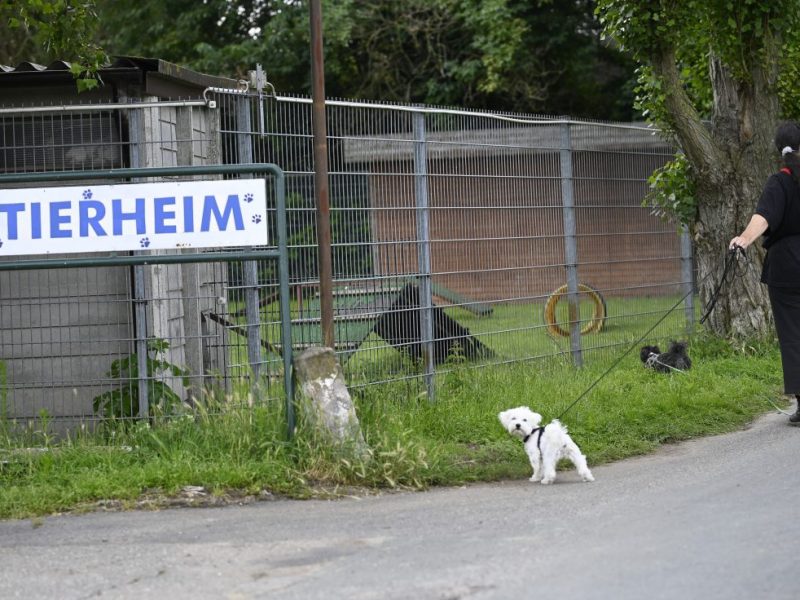 Schild 