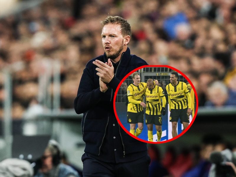 Borussia Dortmund: Nagelsmann-Paukenschlag! Jubel bei BVB-Stars