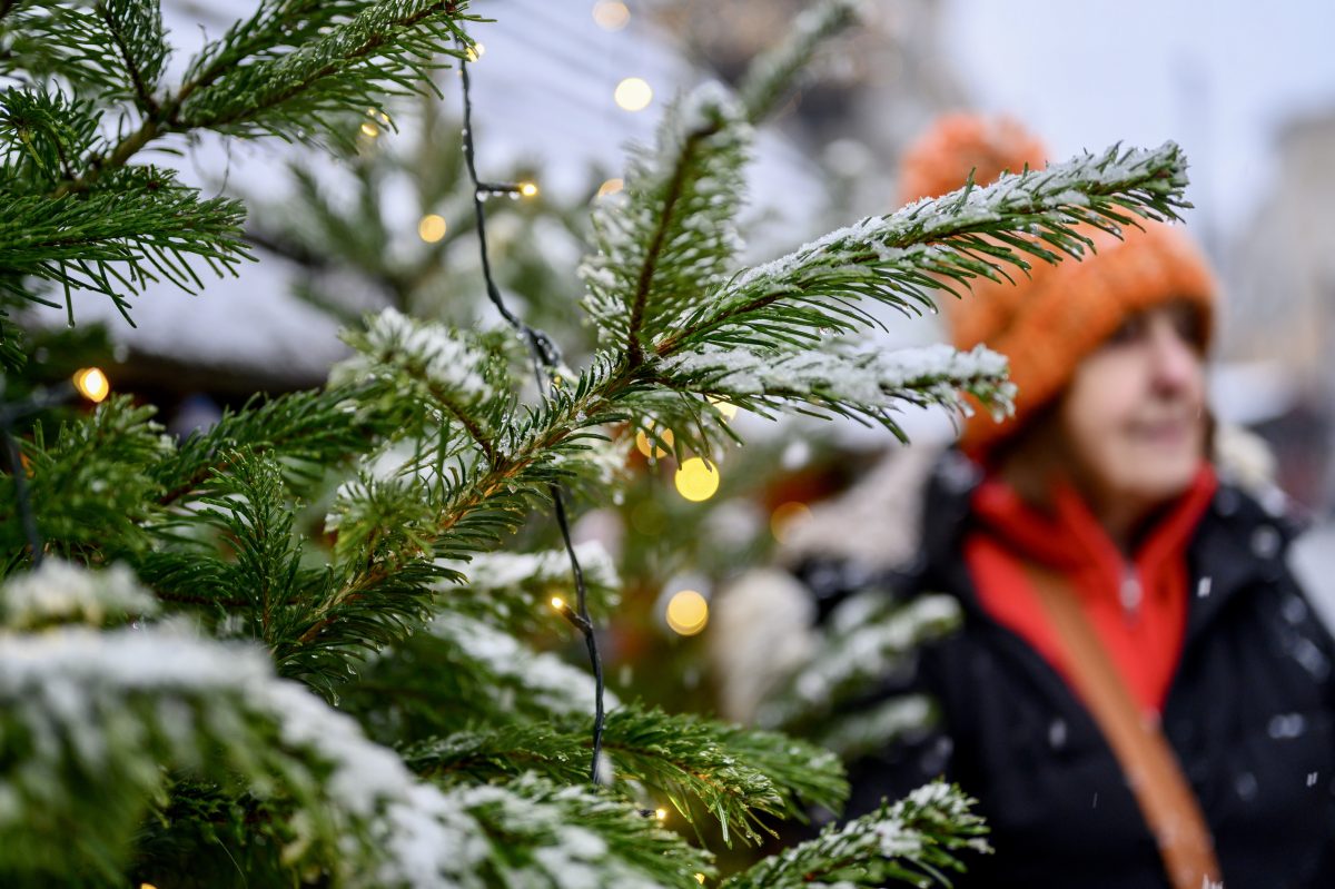 Weihnachtsmarkt Gelsenkirchen Tannenbaum