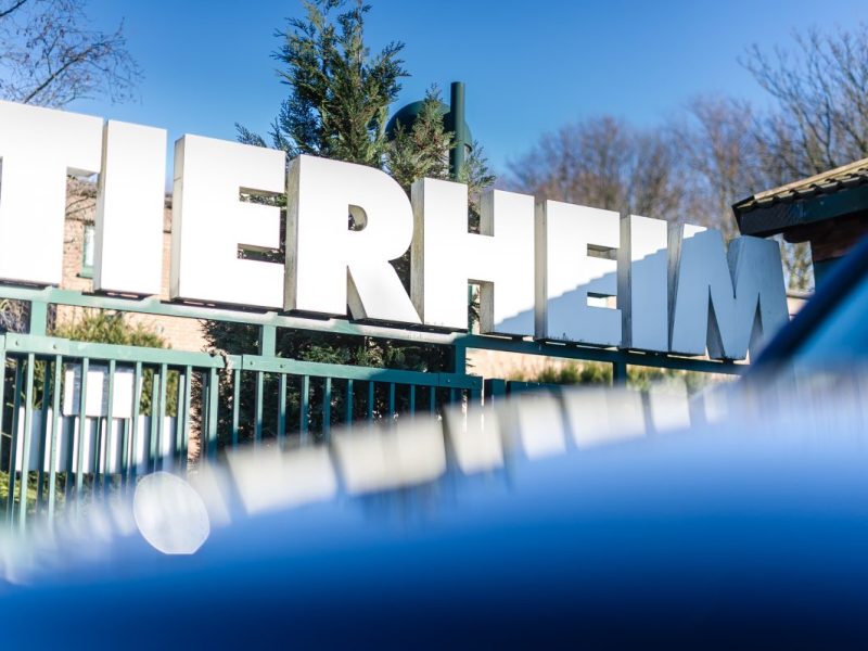 Tierheim Bochum: NRW