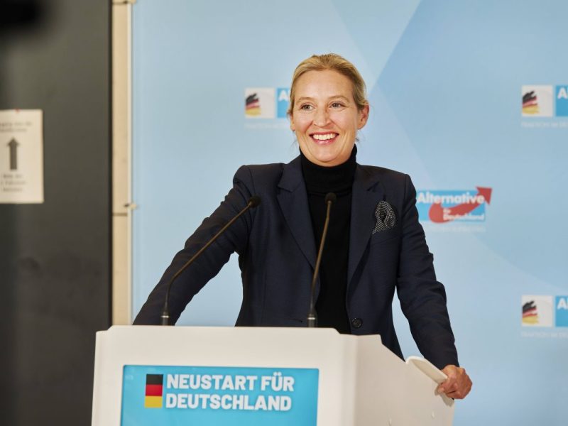 Die AfD macht in den Umfragen Boden gut.
