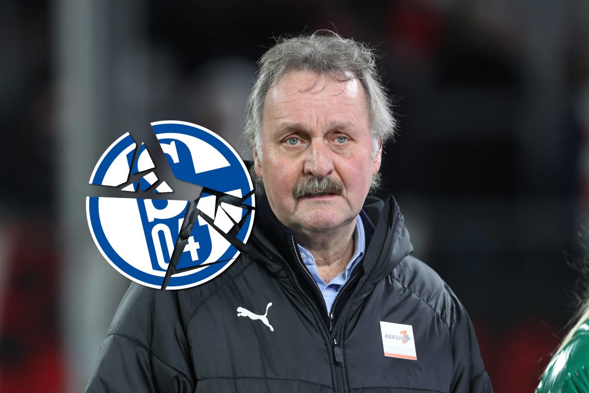 Peter Neururer zerlegt den FC Schalke 04.