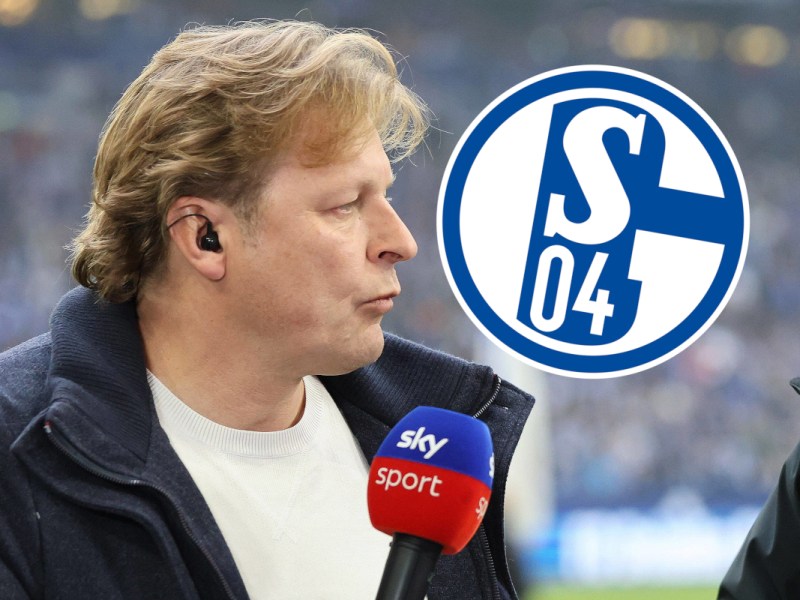 FC Schalke 04: Bitteres TV-Debüt von Mulder! Aussage fällt ihm sofort auf die Füße