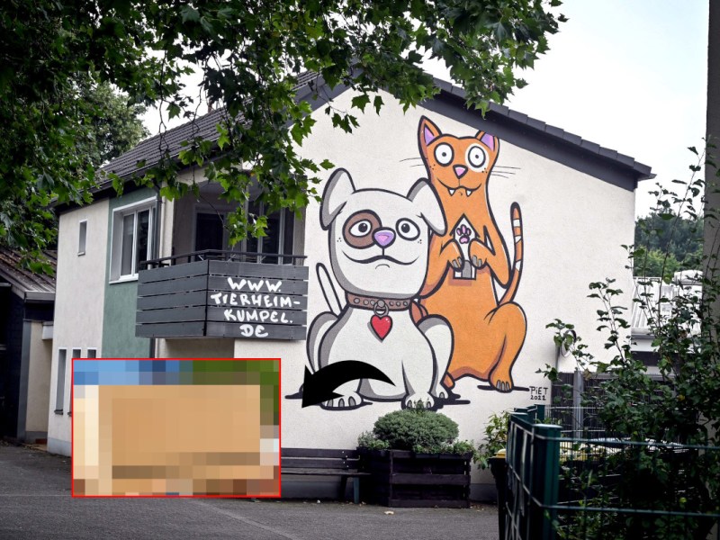 Tierheim Essen