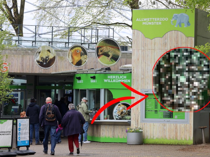 Zoo NRW: Münster