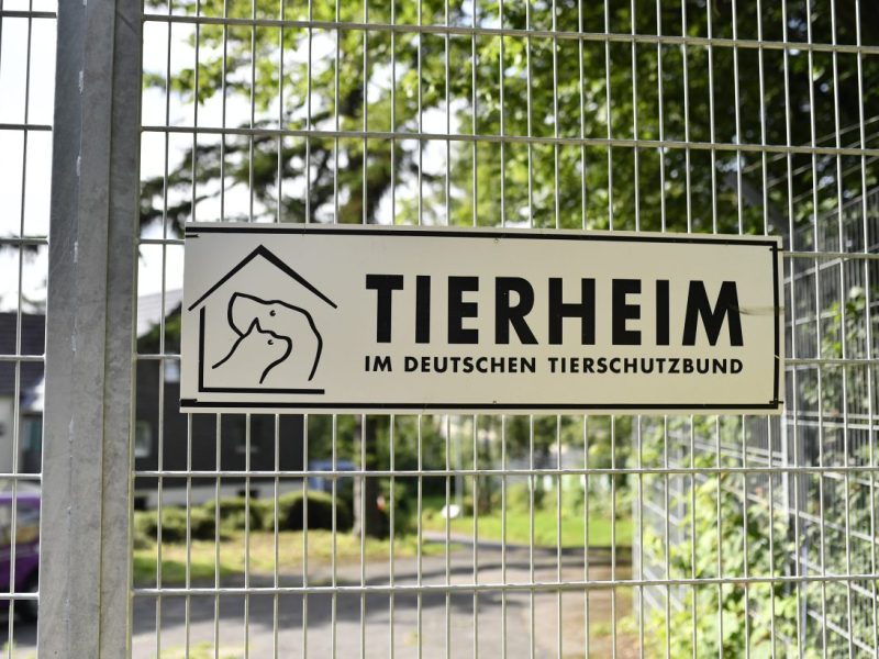 Emotionale Szenen in einem NRW-Tierheim!