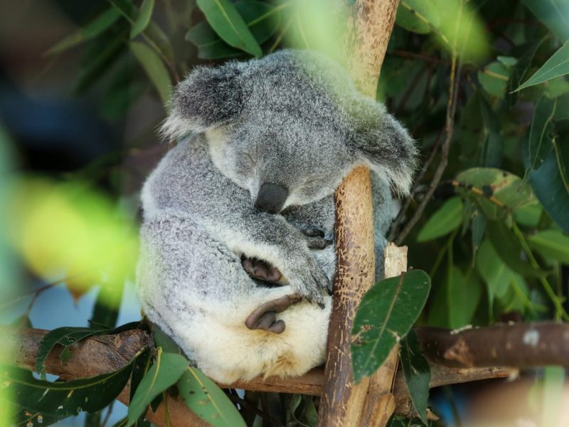 Zoo Duisburg