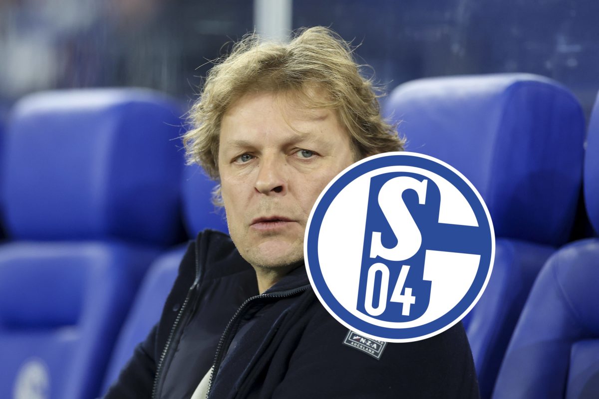 Schalke 04 hat Youri Mulder als Technischen Direktor bis Saisonende prÃ¤sentiert. Eine richtige Entscheidung der Klubbosse! Ein Kommentar.