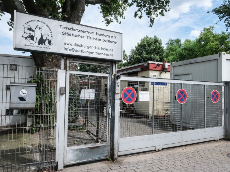 Das Tierheim in Duisburg