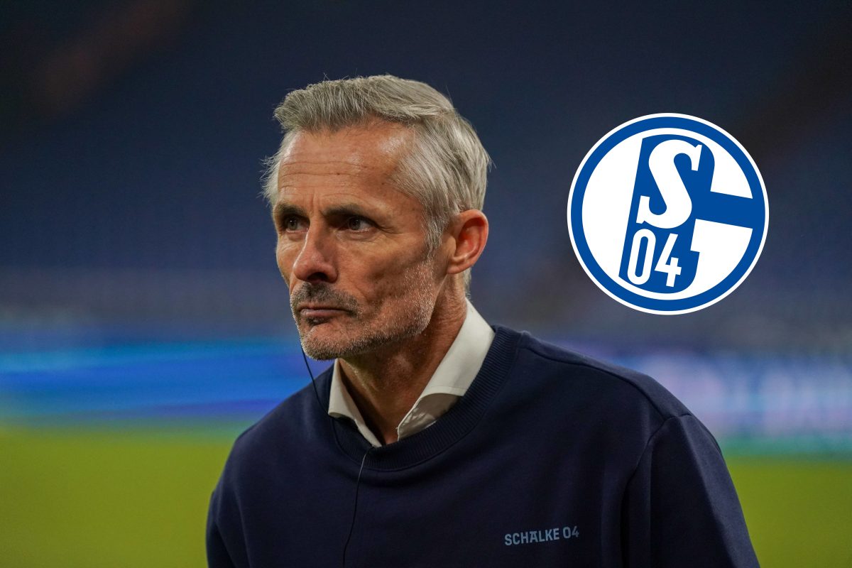 Paderborn - Schalke: Kees van Wonderen