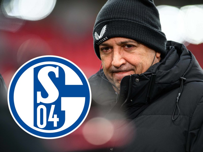 Schalke Carro