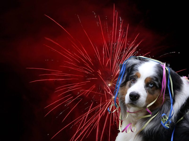 Silvester in NRW