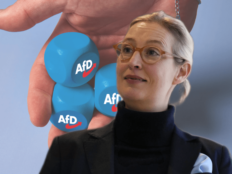 Die AfD befindet sich laut INSA auf dem Weg nach vorne.