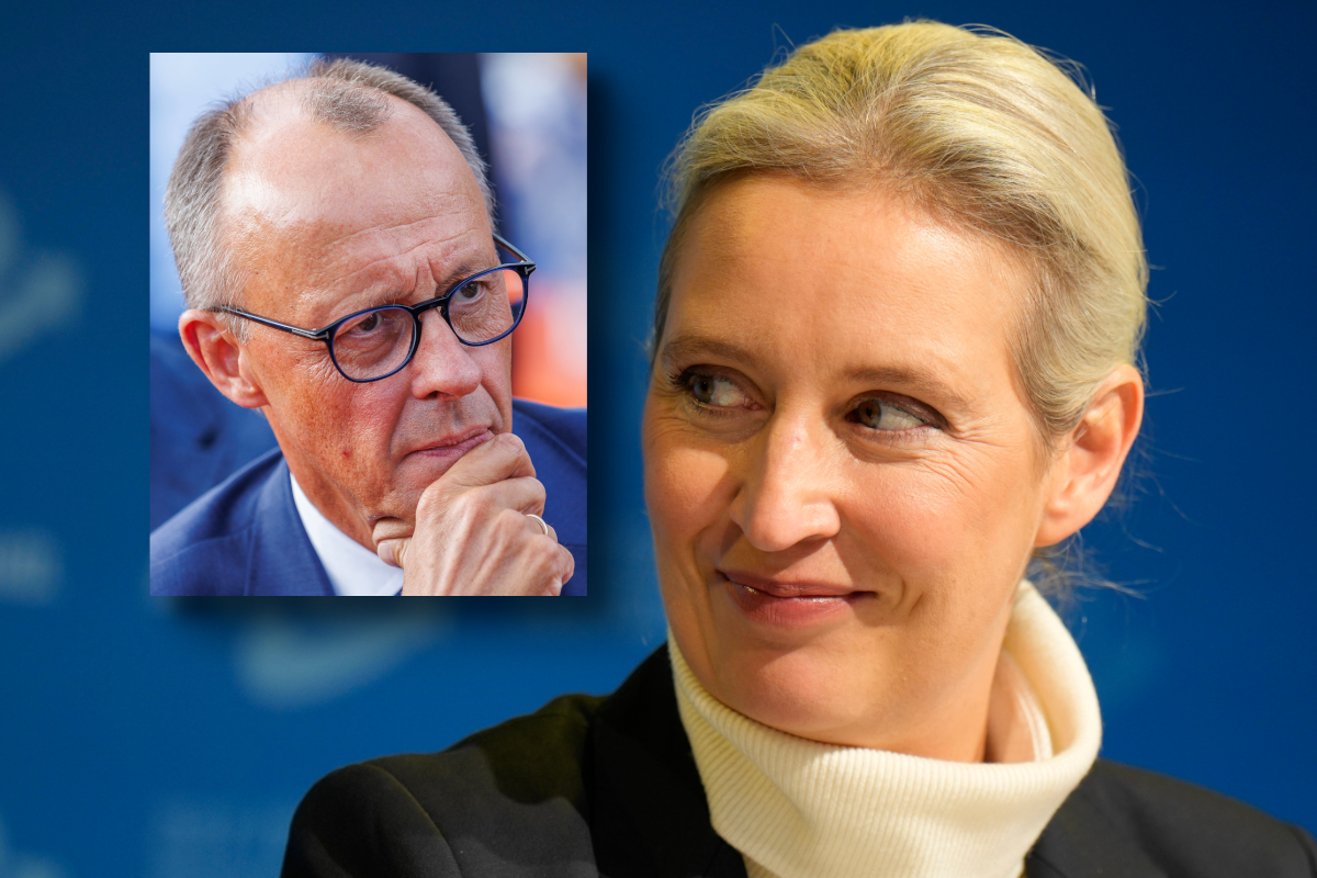 Weidel (AfD): Wird es gefährlich für Merz?