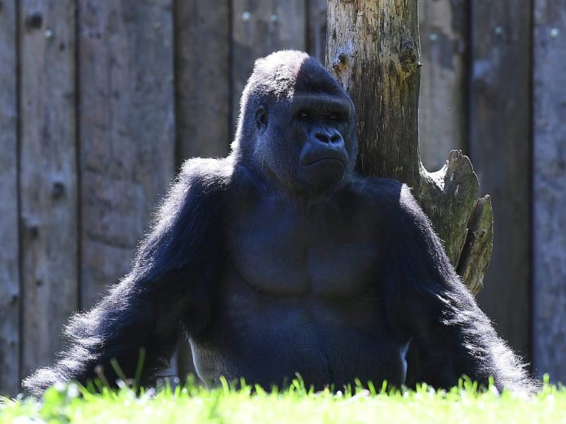 Zoo Duisburg