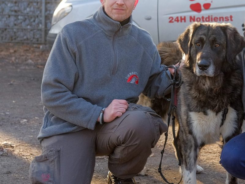 Tierretter Carsten Schütz
