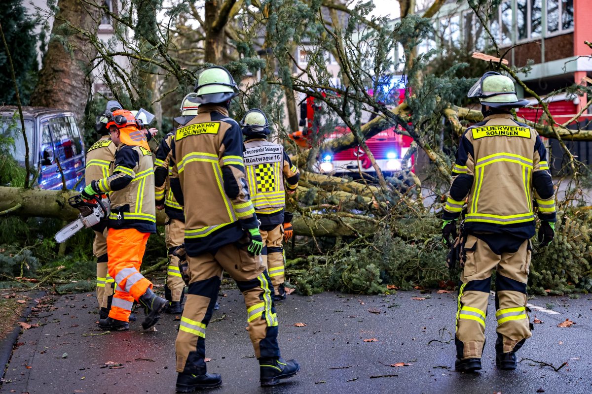 Sturm-Wetter in NRW: In Solingen beseitigen Einsatzkräfte der Feuerwehr einen umgestürzten Baum.