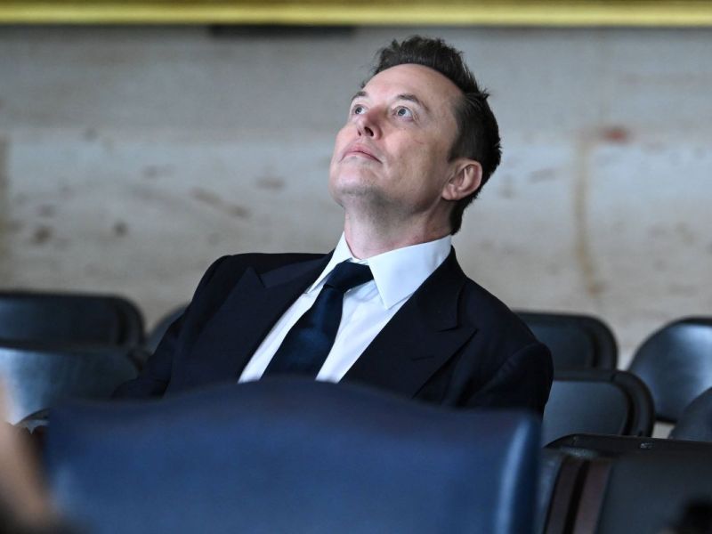 AfD-Verbündeter Elon Musk sorgte mit Aussagen für Kritik.
