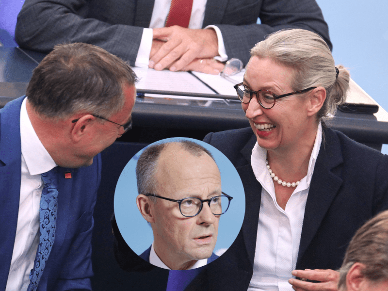 Die AfD umgeht den eingebauten Antrag-Trick von Merz.