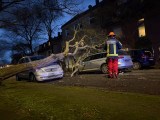 In Bochum sind vielerorts BÃ¤ume auf Autos, StraÃŸen und HÃ¤user gestÃ¼rzt â€“ so auch hier.