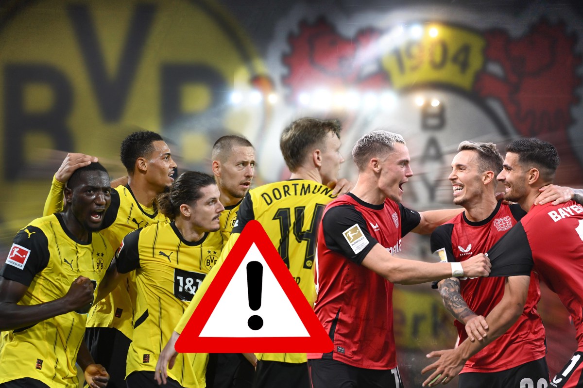 BVB Leverkusen