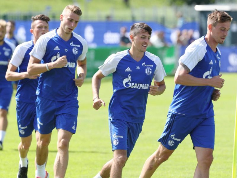 Schalke: Felix Platte