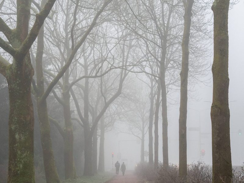 Wetter im Januar