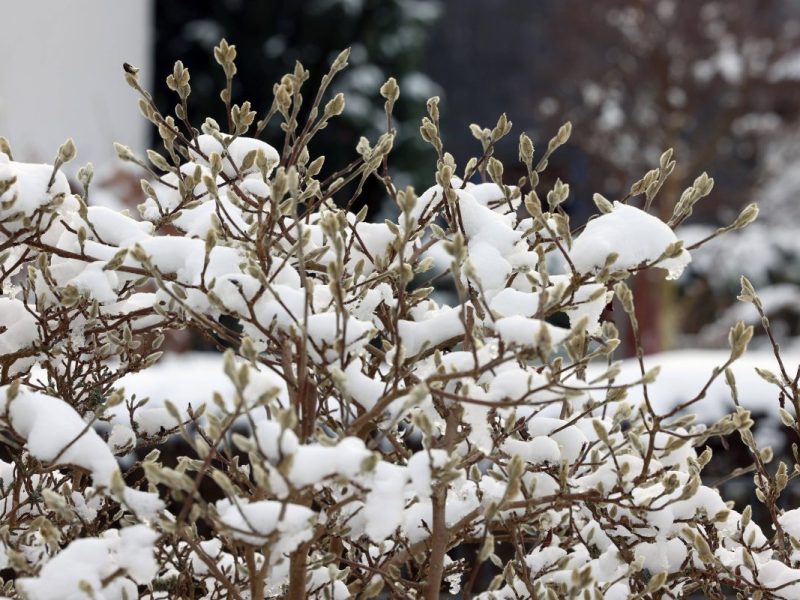 Winterliches Wetter