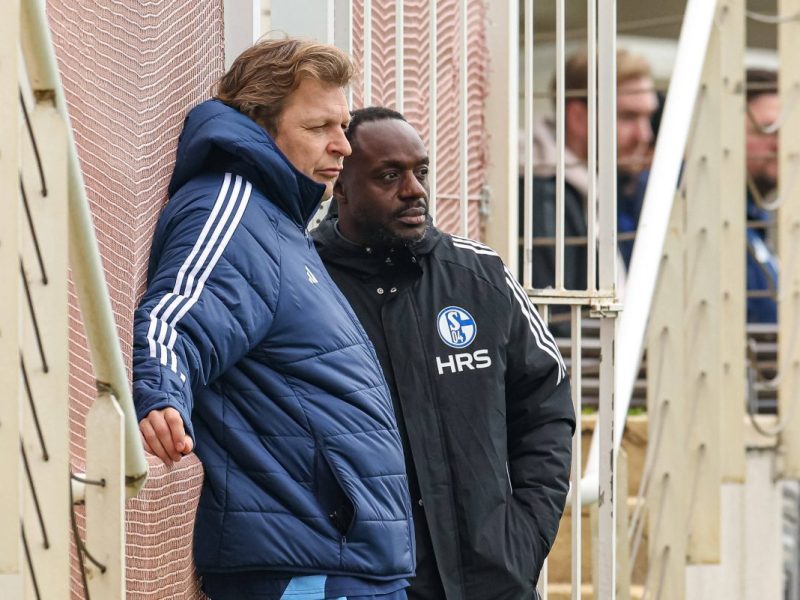Wer kommt noch, wer geht noch? Wie sieht die Kaderplanung des FC Schalke 04 für die kommenden Monate aus? Ben Manga hat offenbar eine klare Vision.