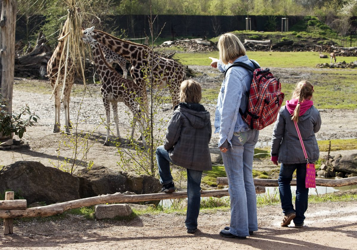 Eine Frau erfüllte sich mit einem Zoo-Besuch ihren letzten Herzenswunsch. (Symbolfoto)