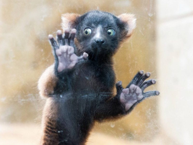 Zoo in NRW spricht über 