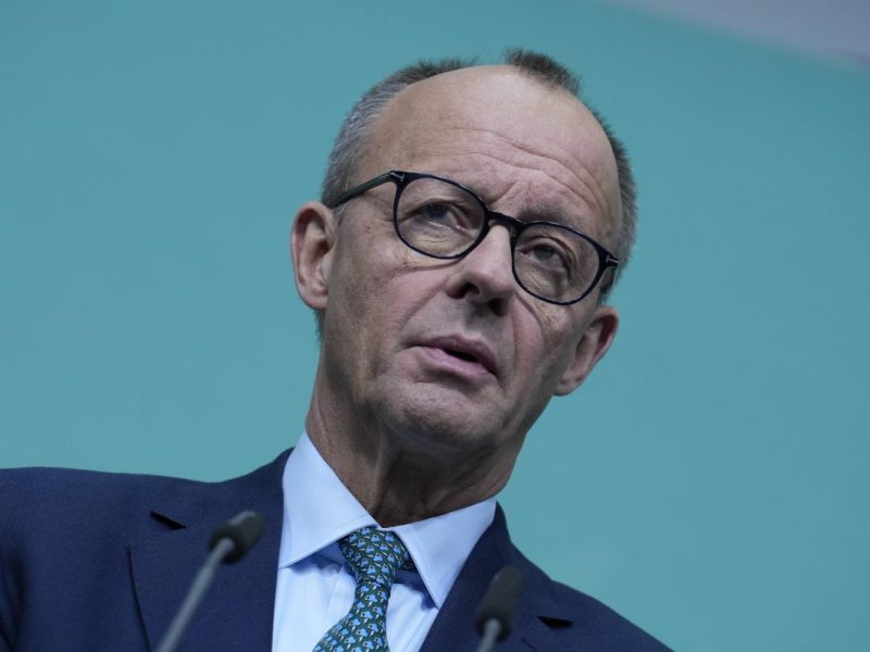 Der fünf-Punkte-Plan von Merz spaltet die Parteienlandschaft.