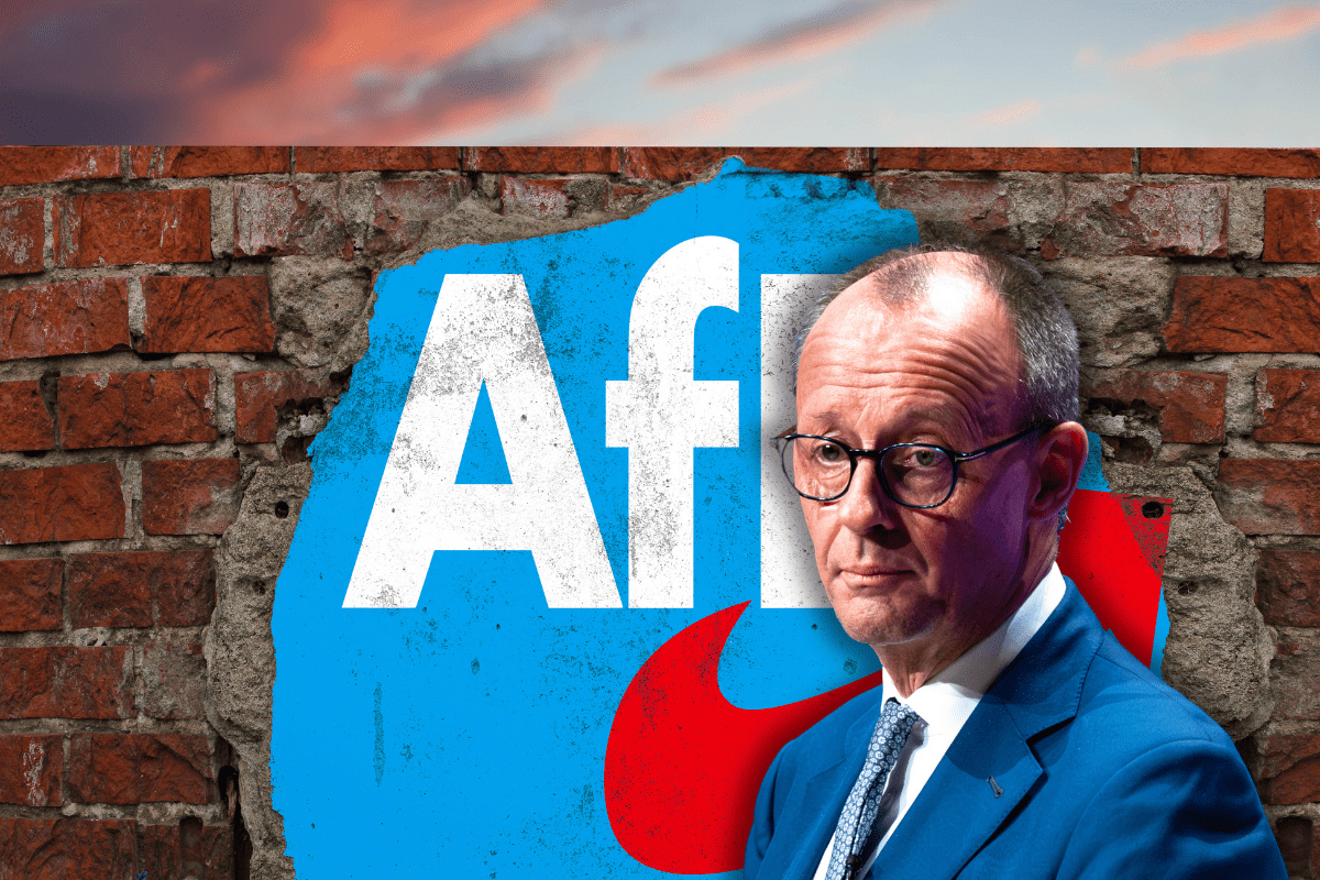 CDU-Chef Friedrich Merz reißt mit einem neuen Migrationsplan die AfD-Brandmauer ein.