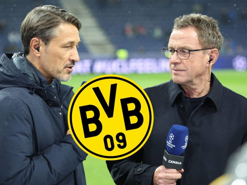 Borussia Dortmund: Ralf Rangnick